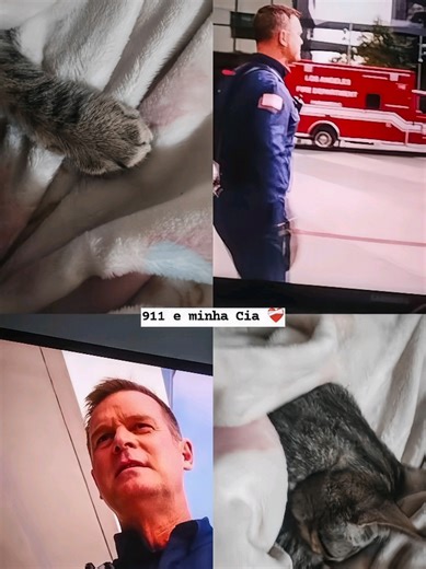 911 Emergency Response Highlights: A Compelling Edit