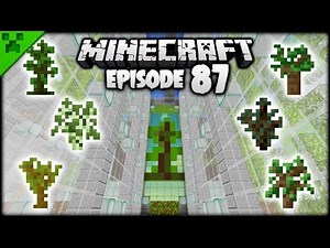 FINISHING The Minecraft Tree Farm! | Python's World (Minecraft Survival Let's Play) | Episode 87
