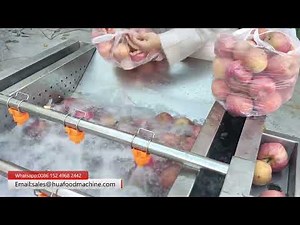 High Efficinecy Apple Fruits Washing Machine | Gentle Yet Thorough Cleaning