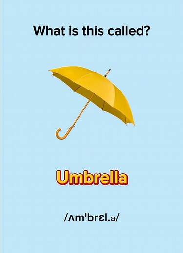 Improve Your English Vocabulary: Take the Quiz!