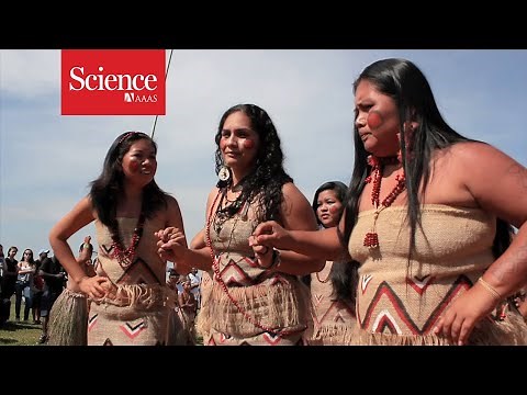 What does traditional music around the world have in common?