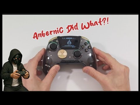 Anbernic Made a 2nd Controller...But WHY?