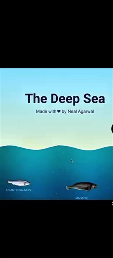 Exploring the Mystical Depths of the Ocean