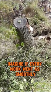 Tackle stubborn tree stumps quickly and efficiently with our heavy-duty skid steer stump grinders. 💪 Designed for precision and power, these attachments make clearing stumps easy, saving you time and labor on every job. 🙌 | Skidsteers.com