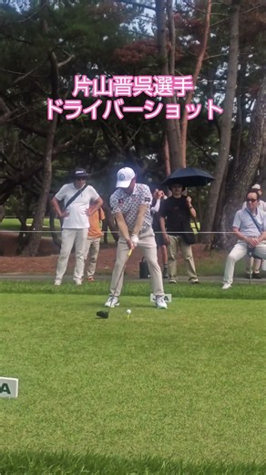 片山晋呉選手 ドライバーショット🏌 #ゴルフ #スイングトップ
