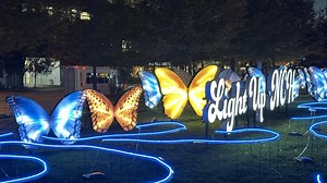 Nationwide Children's illuminates dozens of butterflies for holiday display