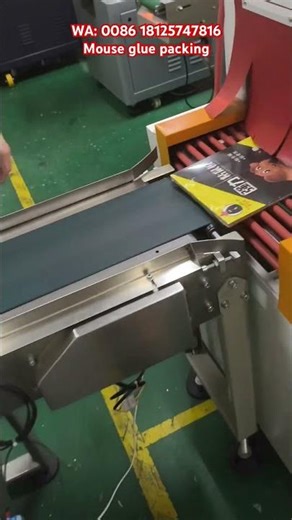 Do you like this mouse glue packing machine?#packingmachine#packagingmachine#packing#machine#factory