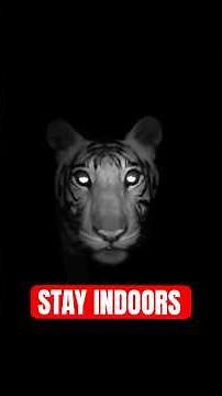 4 Most Shocking Animal Revenges On Humans Ever