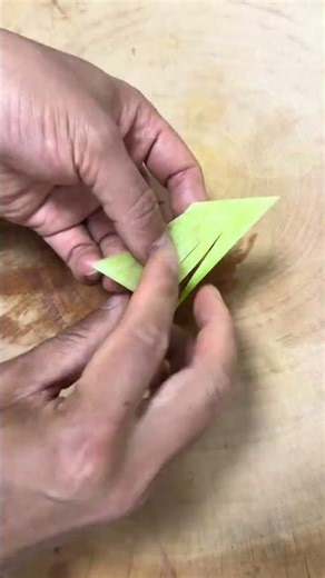 Unveiling the Magic of Radish Slices - A Culinary Adventure