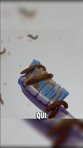 What really comes out of your toilet 😳