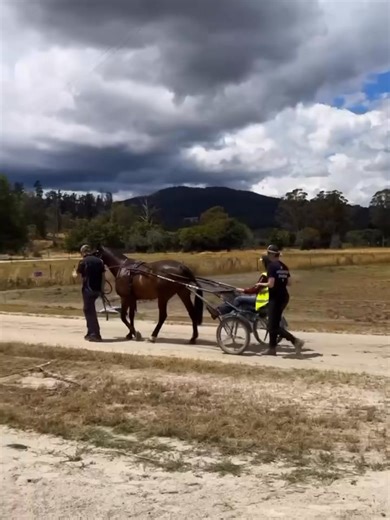 What a fantastic week at Devonport for our five-day internship program 👏 We’re proud to see all interns offered employment in the racing industry — two in thoroughbreds and one in harness racing. Outcomes like this show just how valuable these programs are. A huge thank you to our industry participants for their time, knowledge, and support. Your hands-on involvement made all the difference. Next stop: Brighton, with the internship program kicking off Monday the 19th. | Tasracing