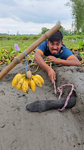 29K views · 104 reactions | New technique to catch snakes with bananas #foryouシ #funny | Shahin On Fire | Facebook