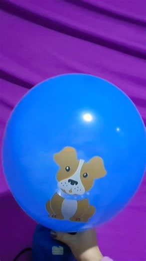 DOG BALLOON INFLATION AND DEFLATION!!!