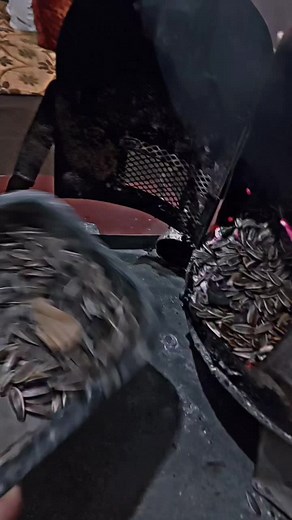 Sunflower Seed Shell Handling Process