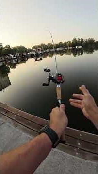 Dead silence? No way! When the water is old, things really start to explode! #fishing #bassfishing