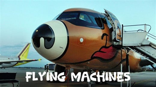 Magnificent flying machines