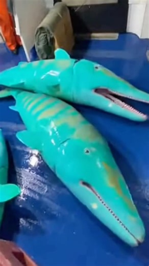 These fish looked like dolphins… until they launched into the boat. 🐬🐟