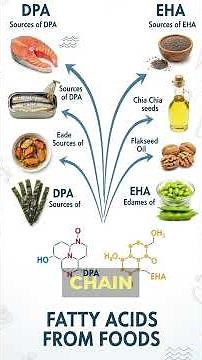 DHA & EPA: The Essential Fats Your Brain Can’t Function Without