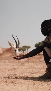 8.4K views · 134 reactions | It's World Wildlife Day! Let's cherish...