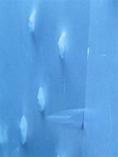 Terminator 2 – La puissance terrifiante du T-1000 #movie #film #france #fyp #fantasy