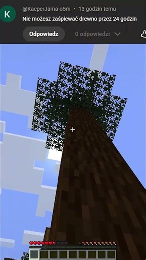 MINECRAFT ALE WIDZOWIE MI PRZESZKADZAJĄ!