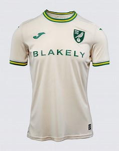 Norwich City 2024-25 Third Kit