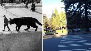 13 Perplexing Images Taken From Confusing Perspectives