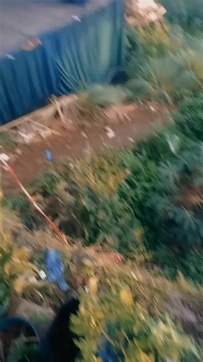 #IYA AUDIO SOUND SYSTEM' #