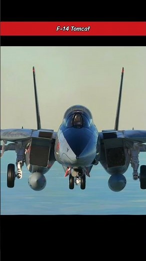 F-14 Tomcat Deploys Landing Gear Mid-Air — Iconic Jet in Action!