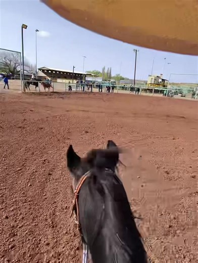 Pole Bending Techniques Explained
