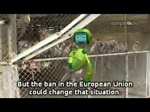 A-Z: A for Animal Testing