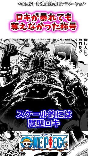 【ワンピース】ロキが暴れても奪えなかった称号 #ワンピース #ゆっくり解説