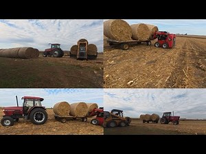 Hauling corn stalk bales 2025!!