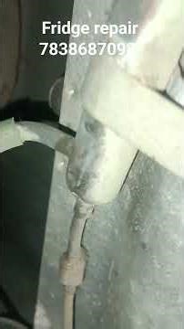 Fridge repair service