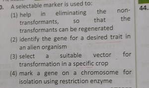 0. A selectable marker is used to:(1) help in eliminating the ... | Filo