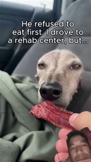 #rip dog😭 #Eri Army Life Story