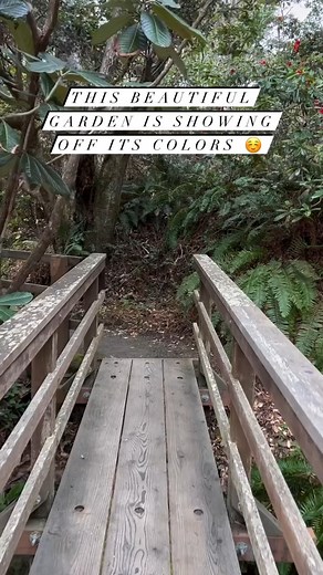 1.3K views · 47 reactions | Mendocino Coast Botanical Gardens is one...