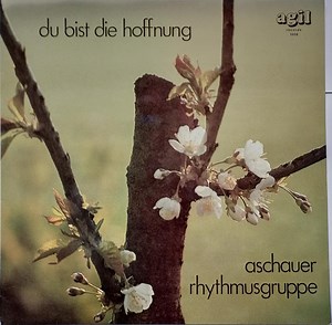 Aschauer Rhythmusgruppe - Du Bist Die Hoffnung