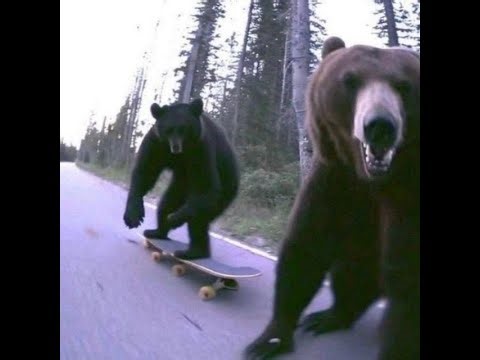 Sa druge strane jastuka (D&B)