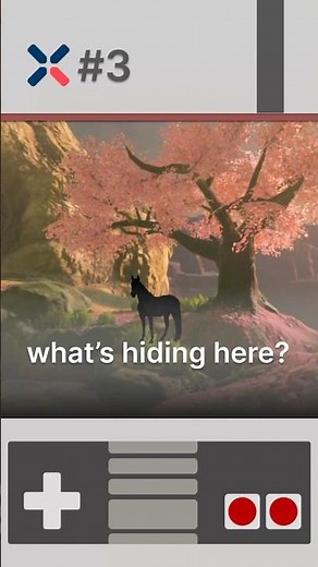 The Heartbreaking Secret of Satori Mountain