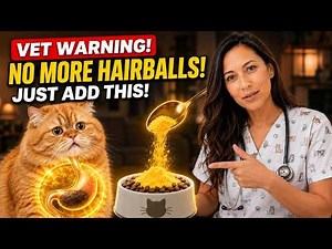 If You Add THIS to Your Cat's Bowl Tonight… They Will NEVER Have a Hairball Again!