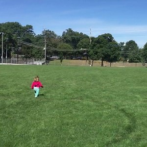 2.6K views · 15 reactions | Alex Denis on Reels | Facebook