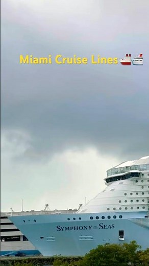Miami Cruise Port View 🌴 | Giant Cruise Ships Sailing in Miami