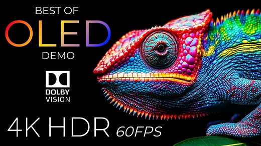 【4K 60FPS】OLED演示 最佳HDR 超高清 Dolby Vision™ 杜比视界