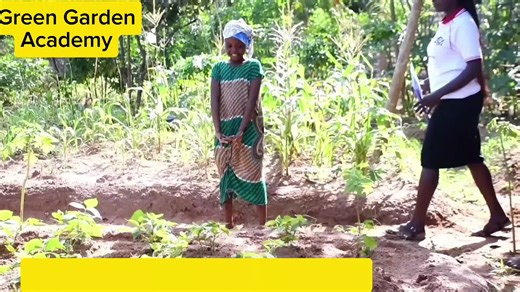 Green Garden Academy (@greengardenacademy)’s videos with original sound - Green Garden Academy