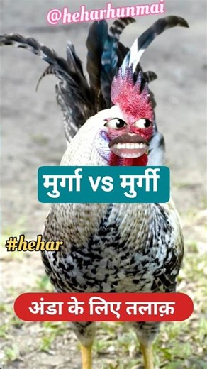 Murga vs murgi comedy #aalupyaj #aalu #shortvideo #comedy #hehar #thetharpuns ‪@thethar_puns‬