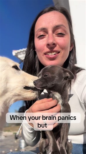 Understanding Overstimulation in Everyday Life