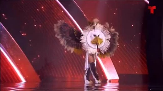 38K views · 3.9K reactions | A tribute to the American Bald Eagle—our...