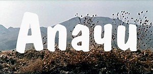 Апачи (ГДР, 1973) – смотреть видео онлайн в Моем Мире | Элла *