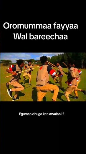 Sirbaa haraa Shawaa #newvideo #oromomusic #newmusic #dancechoreography